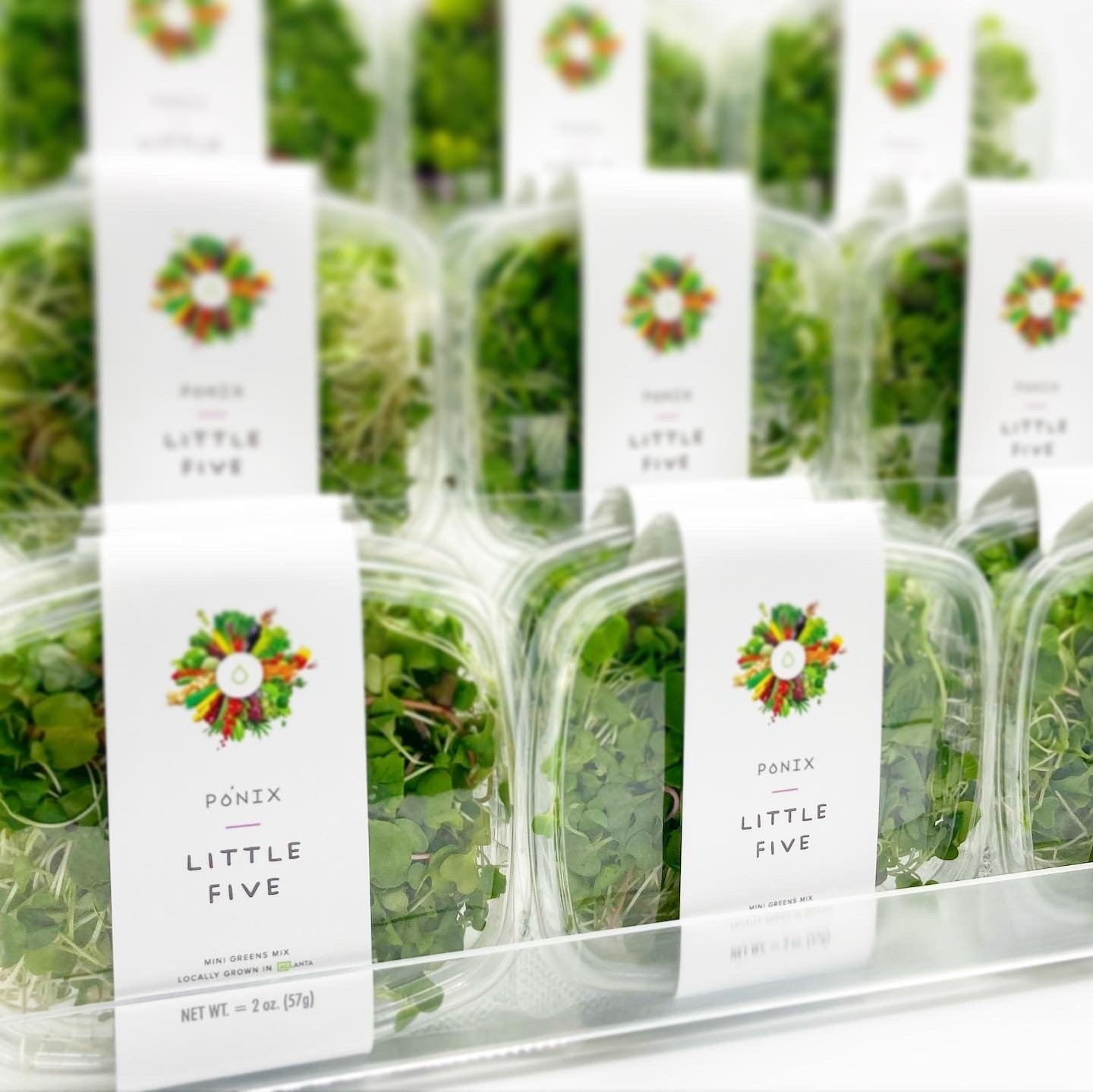 hydroponic farming Atlanta