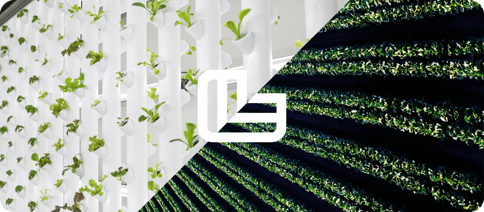 Ponix Awarded 5 Million Dollars